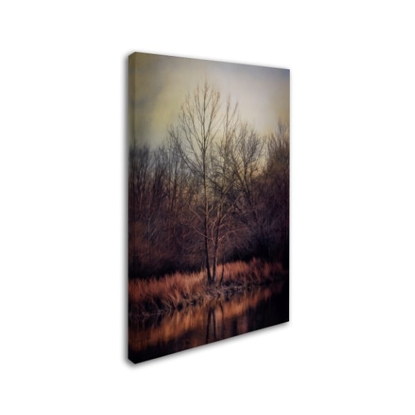 Jai Johnson 'Warm Winter Peace' Canvas Art,16x24